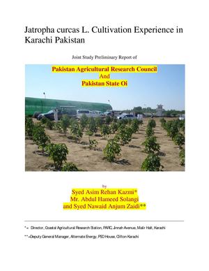 Jatropha Curcas Cultivation Experience in Karachi Pakistan