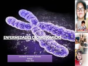 Enfermedades cromosomicas
