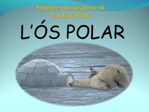 L'ós polar 4t