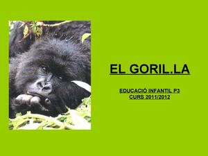 Goril·la P-3