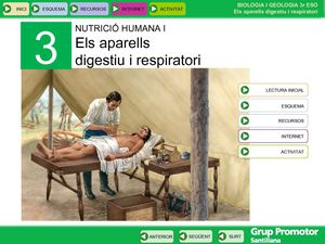 Aparell digestiu i respiratori