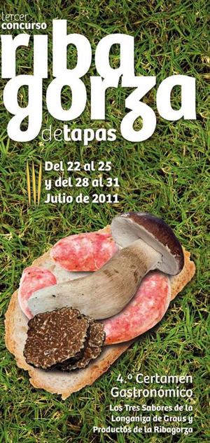 DIPTICO III CONCURSO RIBAGORZA DE TAPAS