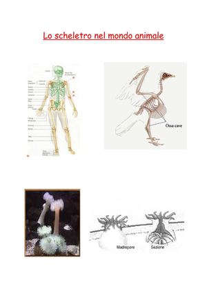lo scheletro negli animali