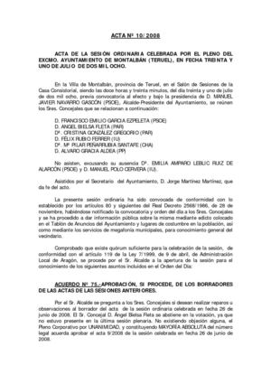 ACTA Nº10 31-7-08