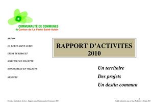 rapport d activites 2012