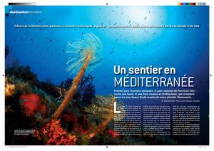 Le sentier sous-marin de Port-Cros