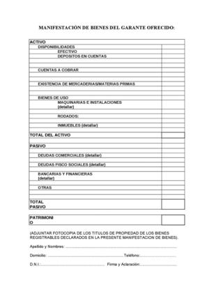 Manifestación de Bienes del Garante Ofrecido