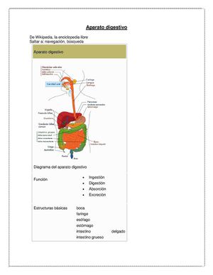 El aparato digestivo