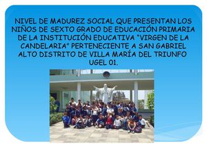 niveles de madurez social