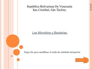 Microbios y Bacterias 