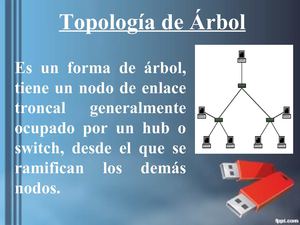 TOPOLOGIA