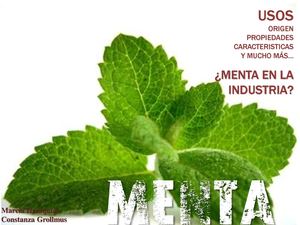 MENTA