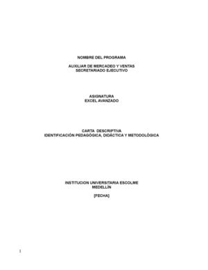 Carta Descriptiva Excel Avanzado