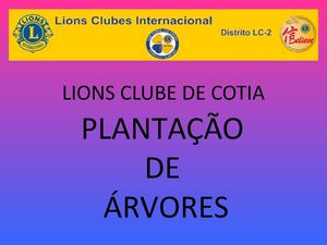LIONS CLUBE DE COTIA - PLANTAÇÃO DE ÁRVOES - DISTRITO LC-2 