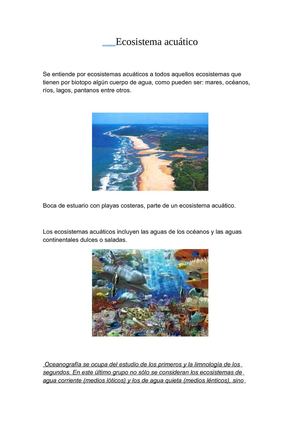 ecosistema acuatico