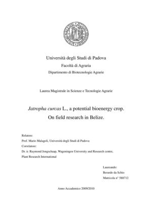 Jatropha Curcas L:  a Potential Bioenergy Crop on Field Research in Belize  