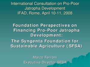Financing Pro-Poor Jatropha Development - The Syngenta Foundation  