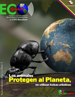 EcoSocialista I, La Revista