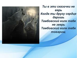 Тамбовский волк тебе товарищ?