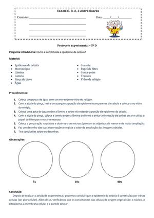 Protocolo experimental - epiderme da cebola (correção)