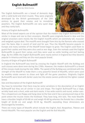 English Bullmastiff