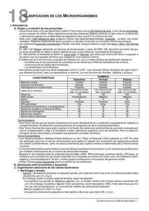 Tipos de Microorganismos