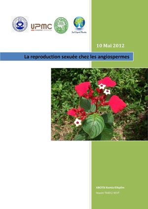 reproduction sexuée chez les angiospermes