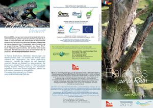 Balades sur le Rhin - Spaziergang am Rhein