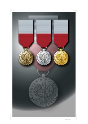 Au drapeaux souvenir polonais