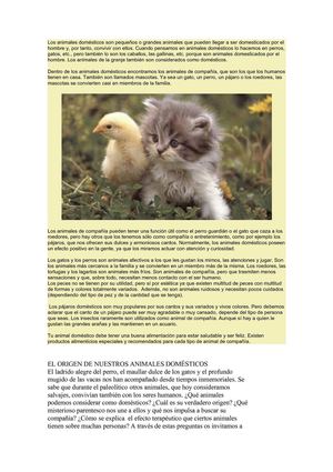 animales domesticos.