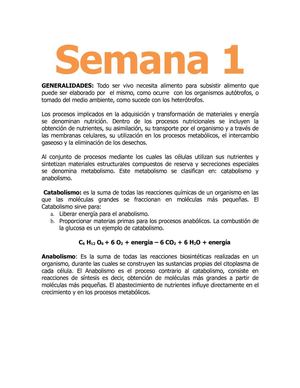 Semana 1 - Generalidades