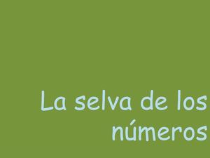 la selva de los numeros 