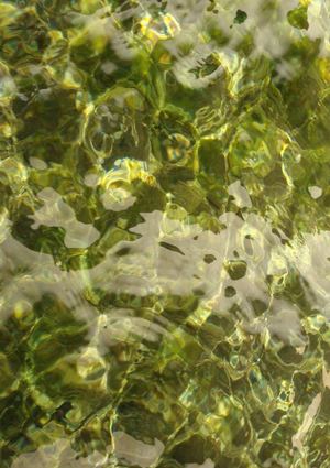 Au fil de l'eau, au fil du temps : la Merlusine