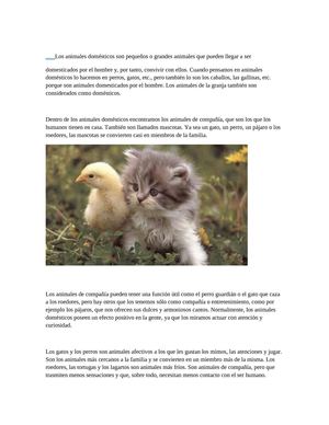 los animales domesticos