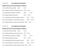 Les animaux de la banquise