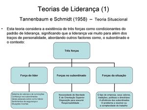 3 Teorias de Liderança