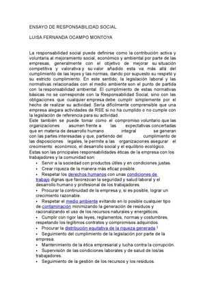 ensayo de responsabilidad social