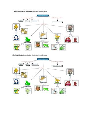 clasificacion de los animales