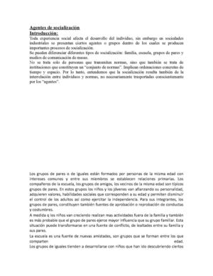 Agentes de socializacion