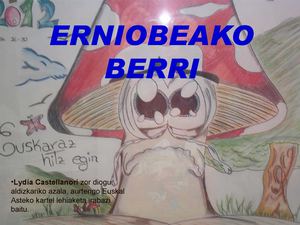 Erniobeako Berri