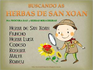 San Xoan e as Herbas de San Xoan.