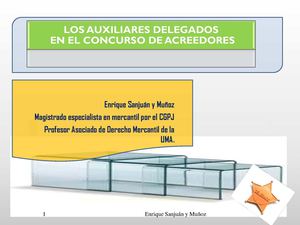 LOS AUXILIARES DELEGADOS EN EL CONCURSO DE ACREEDORES