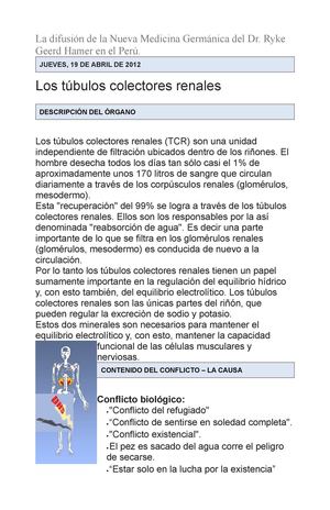 Tubulos Colectores Del Riñon_Nueva Medicina de Hamer