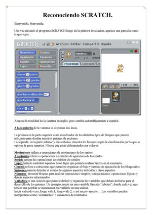 Reconociendo Scratch