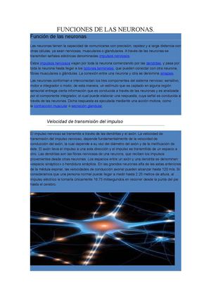 FUNCIONES DE LAS NEURONAS