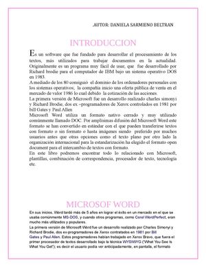 manual de word