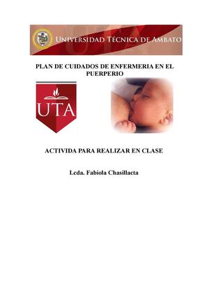 Plan de Cuidados de Enfermeria en el Puerperio