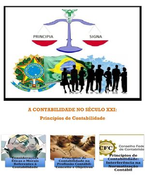 Contabilidade no Seculo XXI - Principios Contabeis