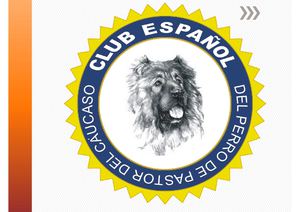 Reglamento de Exposiciones CEPPC