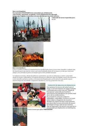 introducción a lo que puede llegar a ser un brigadista